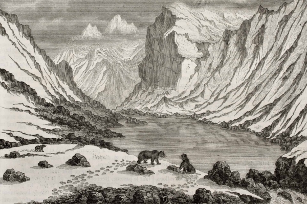 Snowy mountainous landscape wallpaper: Monochrome palette, depicts rugged peaks, rocky outcrops, snow-covered ground. Features two bears in the foreground on rock-strewn terrain. Background includes lake and bear tracks in snow.