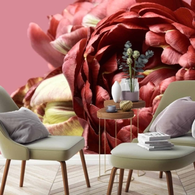 Wallpaper Elements and Colors:
- Large vibrant red flower
- Pink backdrop
- Close-up floral details