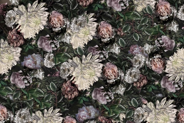 Richly detailed floral wallpaper pattern with large white, pink, and lavender flowers. Dark green leaves densely arranged for a lush design. Dark background enhances vibrant colors, creating a garden-like and gratitude-evoking atmosphere. Key elements: flowers, foliage, dark green leaves, white flowers, pink flowers, lavender flowers, dark background.