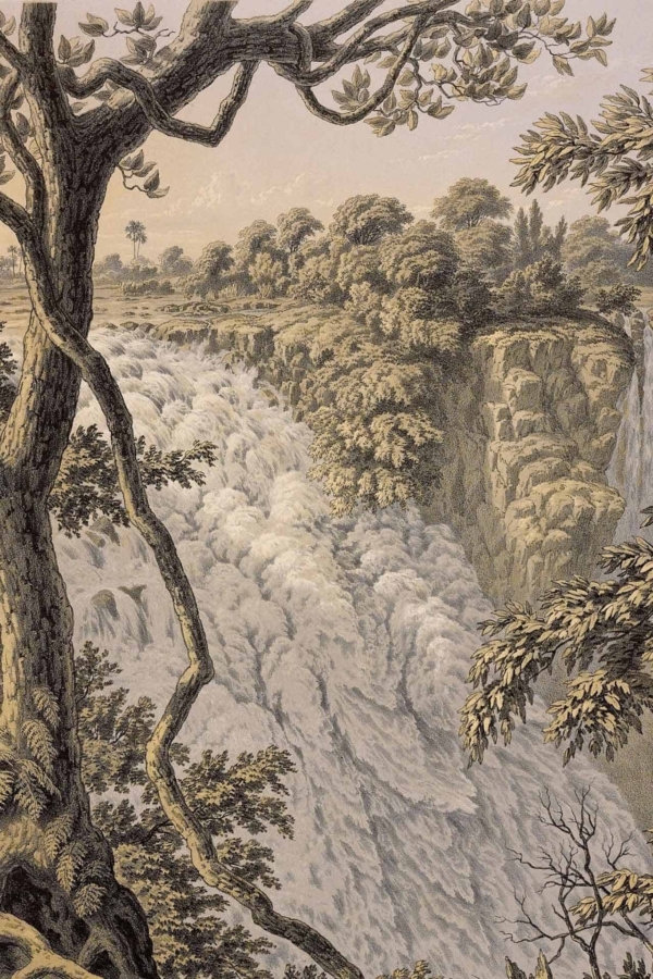 A detailed vintage illustration of a waterfall cascades over steep, rugged rocks, surrounded by lush trees and dense foliage. The scene captures the fluid movement of the water with intricate line work, emphasizing the natural serenity of a forested landscape. Elements include flowing water, craggy rock formations, tall evergreens, and leafy undergrowth. The color palette features earthy greens and browns with touches of misty whites from the waterfall spray. This wallpaper evokes tranquility far beyond everyday hustle.