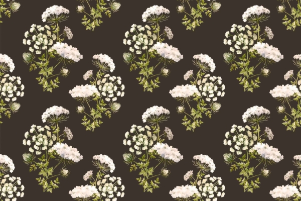 A seamless pattern wallpaper features clusters of white Queen Anne's lace flowers with green stems and leaves, set against a dark background. The wild floral design is consistently spaced to create a repeating motif, highlighting white and green colors on a dark backdrop.