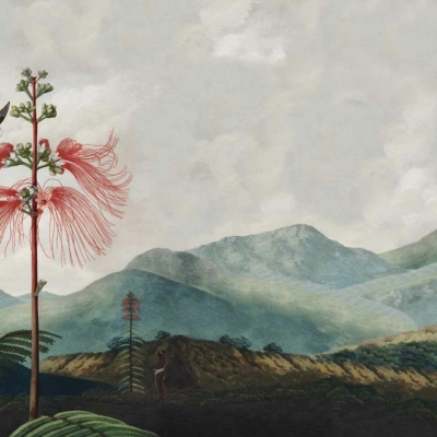 Wallpaper features: lush green hills, cloudy sky, picturesque setting, Gulliver's Travels vibe. Foreground elements: two hummingbirds, tall plant with wispy red blossoms. Midground elements: ferns, additional red-blossomed plants.