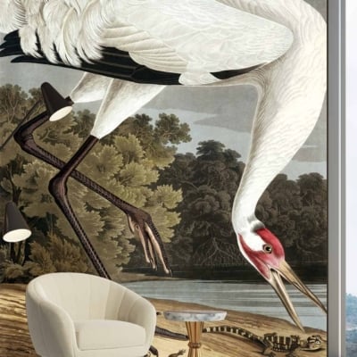 Large mural featuring a detailed painting of a Hooping Crane with its head bent down as if drinking water. Elements include: Hooping Crane, detailed illustration, natural scene. Colors: soft white (crane), shades of gray and black (feathers), muted greens (background foliage), subtle blues and browns (water elements).