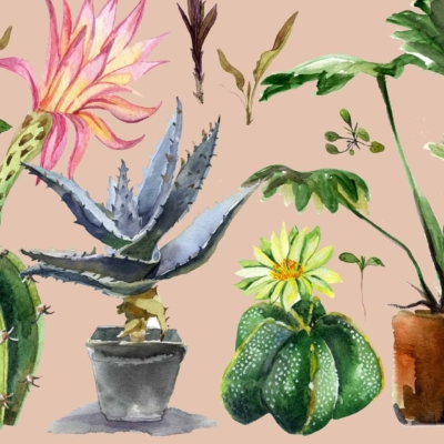 Watercolor wallpaper features: flowering cactus with pink bloom, potted agave in green pot, leafy plant in pot, cactus with yellow flower. Various green leaves scattered throughout. Soft beige background. Ideal for indoor gardening enthusiasts!