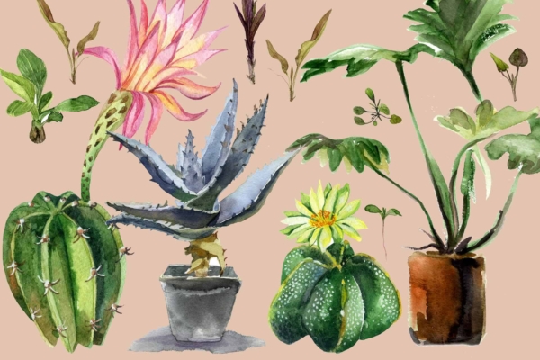 Watercolor wallpaper features: flowering cactus with pink bloom, potted agave in green pot, leafy plant in pot, cactus with yellow flower. Various green leaves scattered throughout. Soft beige background. Ideal for indoor gardening enthusiasts!