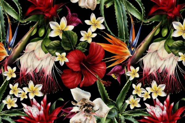 A vibrant floral wallpaper featuring tropical flowers: red hibiscus, white plumeria, bird of paradise, and lush green foliage on a black background. Richly colored blossoms create an exotic appearance reminiscent of "Isn't She Lovely.