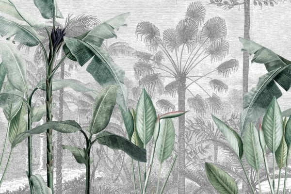 Wallpaper featuring:
- Tropical plants with long, green leaves prominently in the foreground.
- Background elements include detailed, grayscale drawings of KZN palms and various foliage.
- The layered design creates a forest-like ambiance.
Key elements and colors:
- Foreground: Lush green leaves
- Background: Grayscale KZN palms and additional foliage.