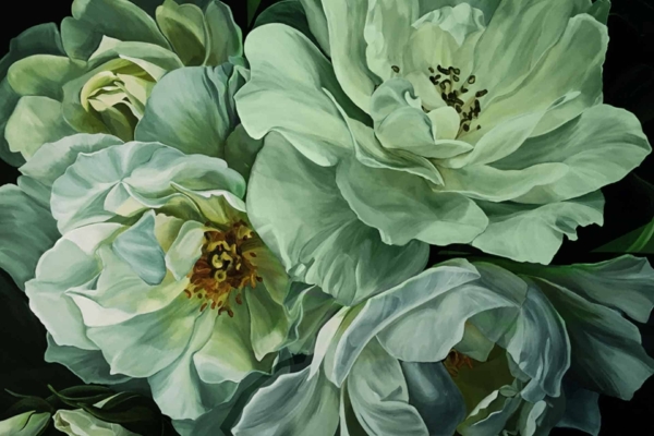 Close-up wallpaper of "Kiss Me Kate" flowers: lush petals, delicate texture, dark centers. Colors: light green, creamy white with shades blending. Background: subtle dark green.