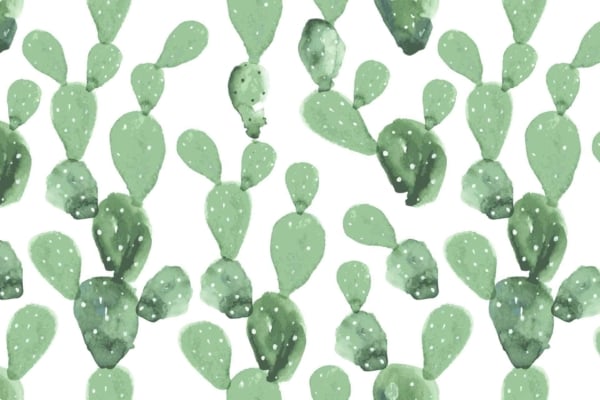 Wallpaper features green watercolor cactus plants with oval pads and white spots, inspired by the Klein Karoo. Set against a white background, the cacti are evenly spaced, forming a consistent repeating pattern. Elements: green cacti, oval pads, white spots, white background.