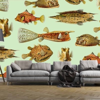 Vibrant, patterned wallpaper featuring colorful, intricately detailed aquatic life on a light green background.