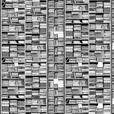 The bookshelf wallpaper features a tightly packed arrangement of books in various orientations. Dominant colors include rich browns and earthy tones from book spines, with occasional splashes of vibrant hues like red, blue, and green covers. Some titles hint at themes of lost pages. The intricate pattern creates a visually dense mosaic that beckons curiosity and exploration.