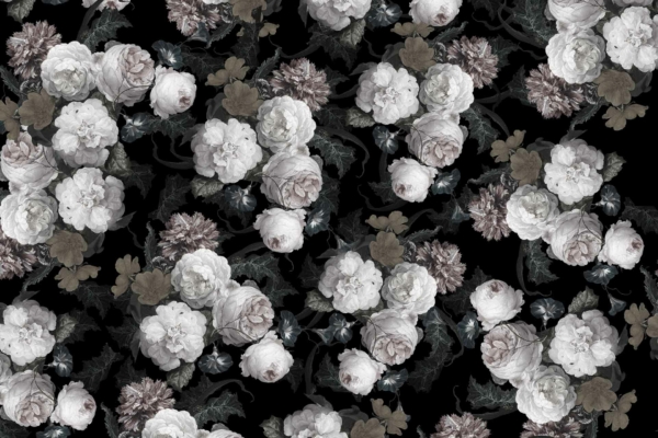 Dark floral wallpaper with white and pale grey roses, peonies, and chrysanthemums alongside greenish-grey leaves on a black background. Dreamy twilight garden design, balanced and elegant.