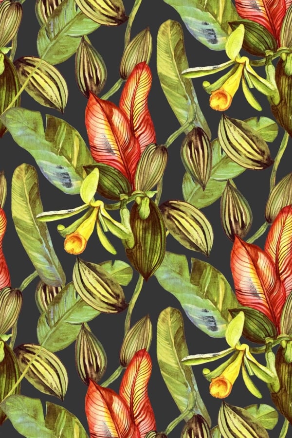 A detailed botanical wallpaper of orchids features vibrant green leaves, red and yellow petals, and intricate venation patterns. Dark background boosts the lush, tropical feel with an enchanted allure akin to a Man Eater plant. Highlighted elements: orchids, vibrant green leaves, red petals, yellow petals, intricate venation patterns. Key colors: green, red, yellow set against a dark backdrop.
