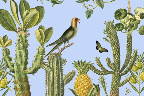 Wallpaper Illustration:
- **Elements:**
- Various cacti and plants
- Parrot perched on a cactus branch
- Butterfly nearby
- Pineapple growing among vegetation
- Man Hunt poster fluttering in the breeze
- **Colors:**
- Green (cacti, plants)
- Brightly colored parrot with hues of red, blue, yellow, and green
- Butterfly with vibrant colors (possibly orange and black)
- Golden-yellow pineapple with green leaves
- Light blue sky background