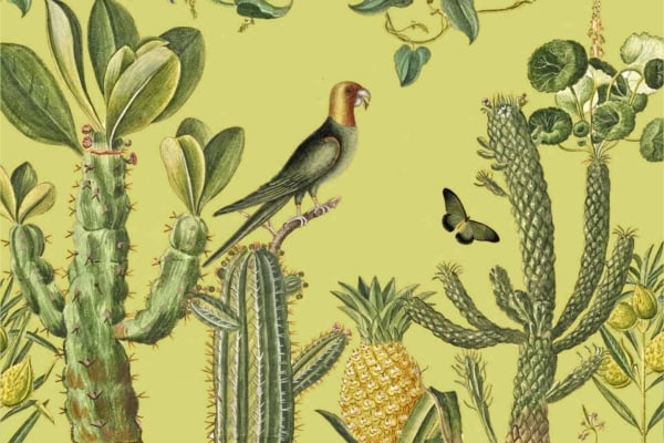 Green foliage, various cacti, pineapple plant, pale green background. Perched parrot, fluttering butterfly. Vibrant illustration.