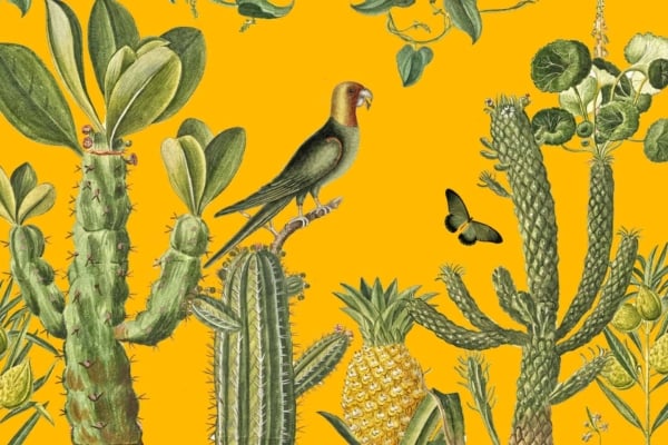 Wallpaper Illustration:
- **Elements**: Various cacti and succulents, parrot perched on a cactus, butterfly in flight, pineapple in the foreground.
- **Colors**: Vibrant yellow background, green cacti and succulents, red and blue parrot, multi-colored butterfly (yellow and black wings), neon green pineapple.
- **Mood**: Mysterious with vibrant colors.
Highlight Keywords for Search:
"cacti", "succulents", "parrot", "butterfly", "pineapple", "vibrant yellow background", "mysterious scene".