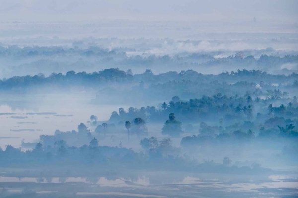 Serene landscape, dawn, dense mist, shrouded lush forest, dreamy effect, layered mist, tree tops peeking through fog, Misty Blue horizon, soft blue distance. Elements: trees, fog. Colors: Misty Blue, soft blue.