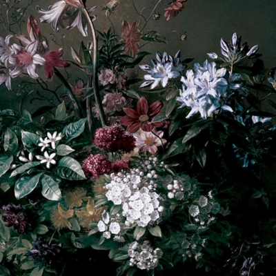 Wallpaper features: lush bouquet, Morning Collection, flowers including white, purple, red blossoms; dark background; green foliage; small white blossoms; dense and vibrant floral composition.