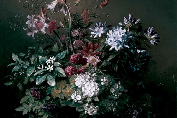 Wallpaper features: lush bouquet, Morning Collection, flowers including white, purple, red blossoms; dark background; green foliage; small white blossoms; dense and vibrant floral composition.