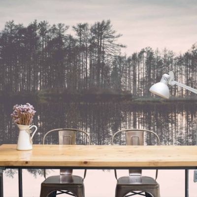 The wallpaper features a serene forest landscape reflected in a calm lake, showcasing lush greens of the trees and deep blues of the water. The tones are soft and tranquil, with muted browns for tree trunks and subtle hints of sunlight filtering through the canopy creating a mystical atmosphere.