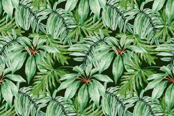 A seamless pattern featuring lush green tropical leaves with various shapes and textures, set against a dark green background. The foliage includes monstera, palm, and fern leaves, creating a dense and vibrant jungle-like appearance—a true Nature's Retreat. Elements: Monstera leaves, palm fronds, fern foliage. Colors: Dark green background, various shades of green for the leaves.