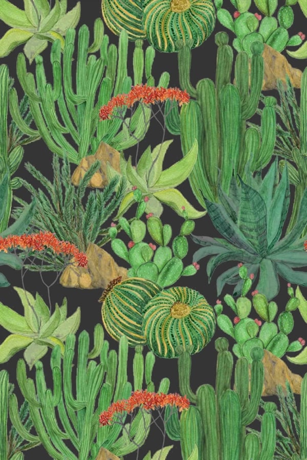 A striking wallpaper with vibrant green cacti and succulents, including tall, thin cacti, round barrel cacti adorned with red flowers, and lush aloe plants. Set against a black background that evokes the stark beauty of the Nevada desert. The bright green plants sharply contrast with the dark backdrop creating a visually captivating pattern. Key elements: green cacti, succulents, tall thin cactus, round barrel cactus with red flowers, aloe plant, black background.