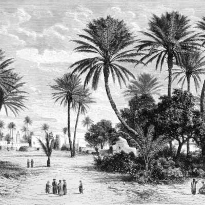 Wallpaper: Vintage black and white illustration of a Tunis desert oasis. Elements include scattered tall palm trees, sandy ground with groups of people in the foreground, more figures and small buildings among trees in the background. Predominantly monochrome tones.