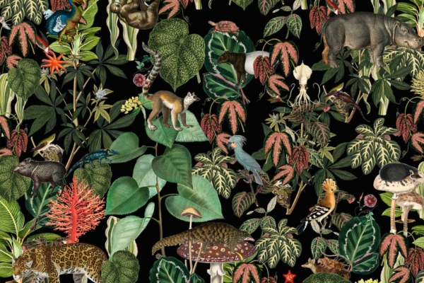 Sure! Here's a description of the wallpaper:

A lush jungle scene teeming with life, featuring vibrant animals including multicolored birds, playful monkeys swinging on vines, sleek jungle cats slinking through the underbrush, a massive hippo bathing in a serene pond, and an elegant leopard lounging on a tree branch. The dense foliage bursts with rich greens and blues, dotted with luminous flowers in shades of red, yellow, and orange. Towering neon mushrooms emit an otherworldly glow against the stark black background that gives the scene a sci-fi movie aesthetic. This richly detailed wallpaper highlights vivid wildlife amidst fantastical plants in an electrifying palette.

**Key elements for search:**
- Lush jungle
- Multicolored birds
- Playful monkeys
- Sleek jungle cats
- Massive hippo 
- Elegant leopard 
- Dense foliage 
- Rich greens and blues
- Luminous flowers (red/yellow/orange)
- Towering neon mushrooms 
  - Sci-fi movie setting 
  - Black background