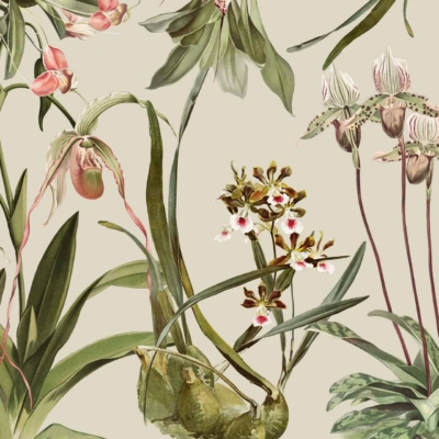 A detailed botanical wallpaper featuring exotic flowering plants, including intricate orchids. The design showcases various leaves and stems with colorful blooms in shades of white, pink, and green. The elements are meticulously detailed against a light beige background, capturing the essence of nature's kingdom.