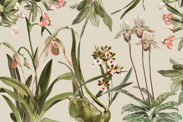A detailed botanical wallpaper featuring exotic flowering plants, including intricate orchids. The design showcases various leaves and stems with colorful blooms in shades of white, pink, and green. The elements are meticulously detailed against a light beige background, capturing the essence of nature's kingdom.
