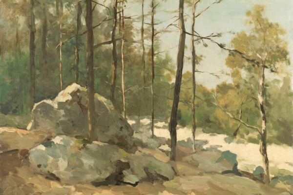 Serene forest wallpaper features tall, slender trees with scattered rocks. Light filters gently through the green foliage, casting soothing shadows. A mix of greens and browns dominates, with hints of light blue sky peeking through, evoking peaceful and tranquil memories.