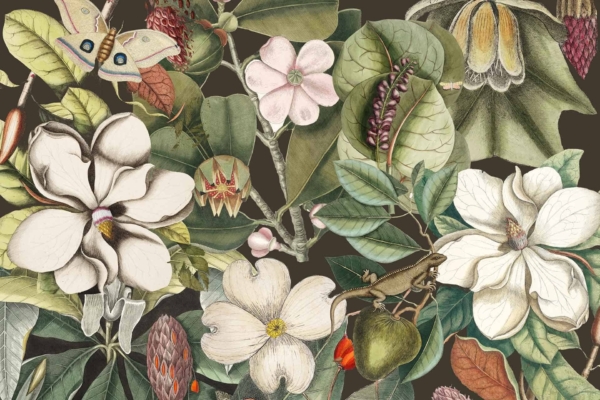 Botanical illustration wallpaper features vibrant nature: shades of green, white, and pink flowers and leaves intricately rendered. Elements include a moth, an insect, and a small lizard set against a dark background. The vivid colors contrast beautifully with the dark backdrop to create a striking design.