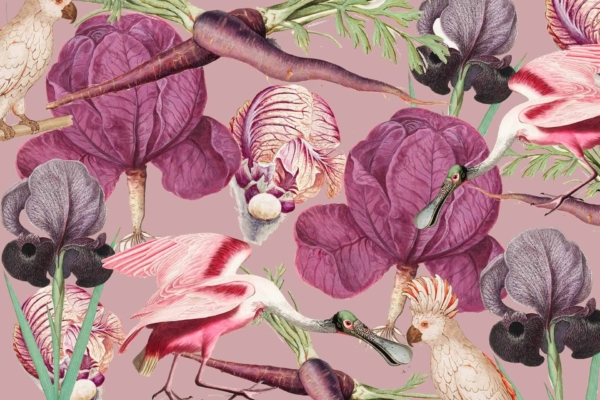 Digitally illustrated wallpaper features:
- Various birds: cockatoos, spoonbills
- Vibrant purple cabbages
- Black carrots
- Elegant purple irises
- Mauve background
Elements are intricately detailed and seamlessly arranged.