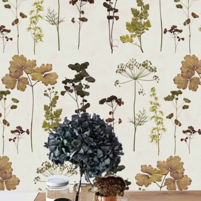 The backdrop wallpaper,