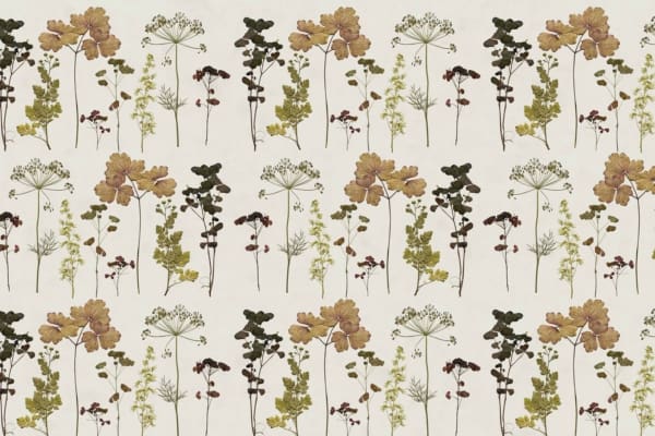 A seamless pattern featuring dried dill, cilantro, and parsley arranged in rows on a light background. The plants are illustrated with delicate details and natural colors, showcasing an organic and vintage feel as if pressed in time. Highlights include intricate leaves, earthy greens, subtle browns, and hints of muted yellows on a cream backdrop.