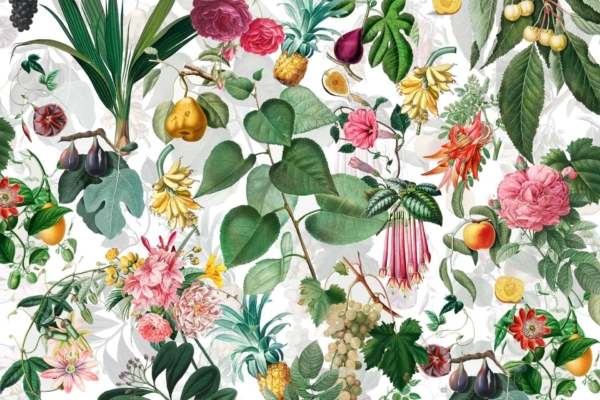 Vibrant wallpaper showcasing detailed botanical illustration with elements such as roses, ripe figs, peaches, pineapples, grapes. Rich hues of red, pink, orange, yellow, green against a subtle leafy background. Multiple flowers and fruits intricately designed for a colorful and lively look.