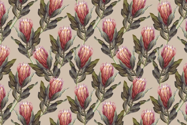 A seamless wallpaper pattern showcasing Queen of the Cape protea flowers with green leaves on a beige background. The design features repeating red-pink blooms, generating a vibrant, natural texture. Keywords: protea flowers, green leaves, beige background, red-pink blooms.