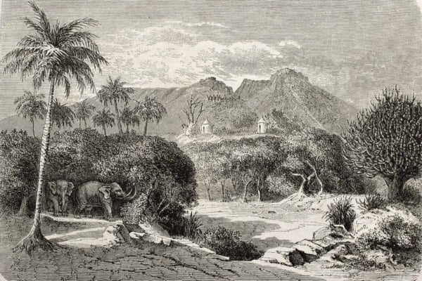 Vintage wallpaper illustration, serene landscape with elephants near path, dense foliage, palm trees, rocky mountains in background, small structures among trees, partly cloudy sky. Earth tones: greens of foliage, grays of mountains and path, blue and white hues for sky.