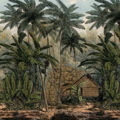 Wallpaper features: lush greenery, towering palm trees, tropical forest setting, dense vegetation, various plants and undergrowth. Colors: verdant greens, earthy browns. Robinson Crusoe-like atmosphere.