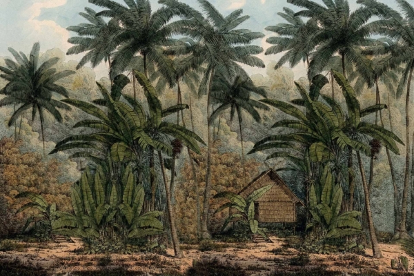 Wallpaper features: lush greenery, towering palm trees, tropical forest setting, dense vegetation, various plants and undergrowth. Colors: verdant greens, earthy browns. Robinson Crusoe-like atmosphere.