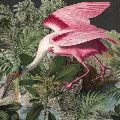 A vibrant pink and white Roseate Spoonbill with a distinctively long beak stands out with its wings spread wide. It's perched amidst lush, detailed green foliage. The background is rich with tropical plants and a serene body of water, all set against the contrast of a dark sky. Elements include:
- Vibrant pink
- White
- Long beak
- Detailed green foliage
- Tropical plants
- Dark sky
All these combine to form an exotic and striking natural scene suitable for wallpaper.