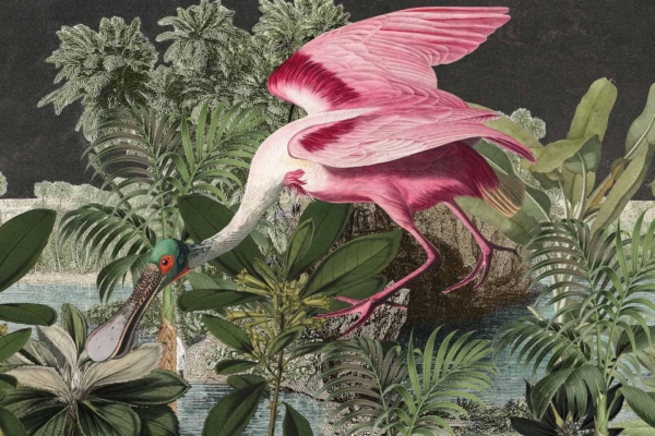 A vibrant pink and white Roseate Spoonbill with a distinctively long beak stands out with its wings spread wide. It's perched amidst lush, detailed green foliage. The background is rich with tropical plants and a serene body of water, all set against the contrast of a dark sky. Elements include:
- Vibrant pink
- White
- Long beak
- Detailed green foliage
- Tropical plants
- Dark sky
All these combine to form an exotic and striking natural scene suitable for wallpaper.