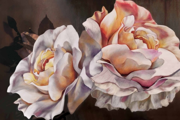 Realistic oil painting wallpaper features two large, blooming roses in shades of white, pink, and peach. The detailed petals stand out against a dark, blurred background, giving the flowers a soft and luminous appearance. Key elements include intricate details of the roses and the contrast between light petals and a dark backdrop.