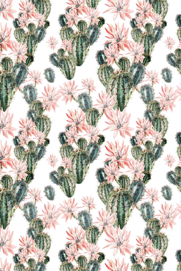 Seamless wallpaper pattern with watercolor illustrations of green cacti and succulents, featuring soft pink flowers on a white background. Botanical theme. Colors: green, pink, white. Elements: cacti, succulents, flowers.