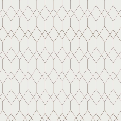A seamless pattern features interlocking hexagons and diamonds, all outlined in brown. The design is set against a light background, creating a balanced structure reminiscent of pepper on salt. Look for elements like