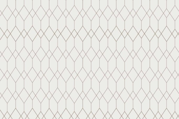 A seamless pattern features interlocking hexagons and diamonds, all outlined in brown. The design is set against a light background, creating a balanced structure reminiscent of pepper on salt. Look for elements like "hexagons," "diamonds," and "brown outlines" on a "light background" to identify this wallpaper.