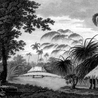 A black and white etching depicts a tropical landscape with dense foliage, tall palm trees, large leafy plant, thatched huts, and a partially visible conical structure. Shadows and light enhance the serene and tranquil atmosphere of a lazy Saturday afternoon.