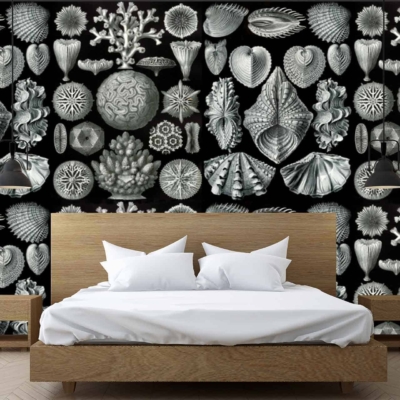 The wallpaper features a black and white color scheme with intricate shell designs, highlighting elements of coastal themes. The pattern showcases detailed depictions of various shells, creating a textured and elegant visual appeal.