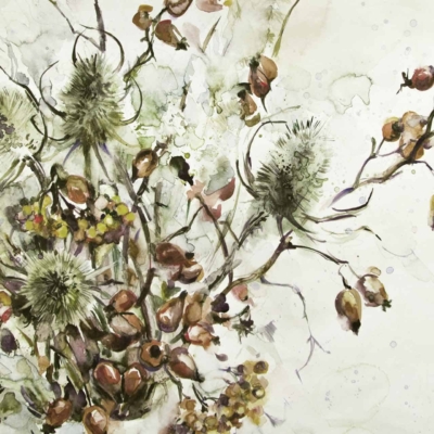 Watercolor painting wallpaper features an arrangement of wildflowers and thorny plants, including thistles and rose hips. The design showcases wispy details with soft hues of green, brown, and light pink against a pale background.