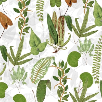Nature-inspired wallpaper featuring green and brown tropical leaves and ferns on a white background. Showcases botany-themed design with elongated, heart-shaped, and frond-like leaves in various shapes and sizes.
